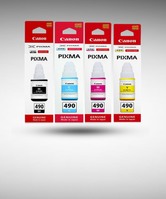 Canon PGI-490 CLI-491 Ink Cartridge Set